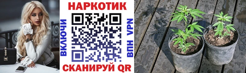 Хочу наркоту Керчь Марихуана ЭКСТАЗИ ГАШ МЕФ КОКАИН APVP