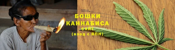 прущие крисы Белокуриха