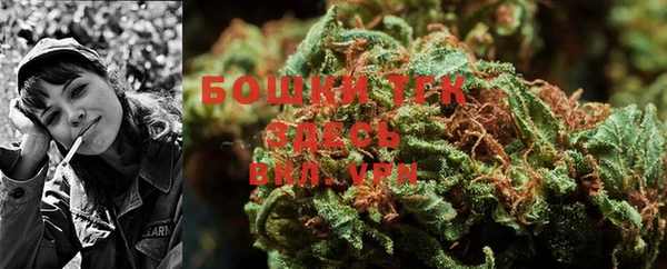 прущие крисы Белокуриха