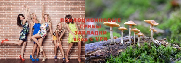молекула духа Беломорск
